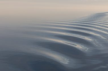 Riding the quiet wave: The hidden resilience of defensive stocks amidst the “Magnificent 7” surge